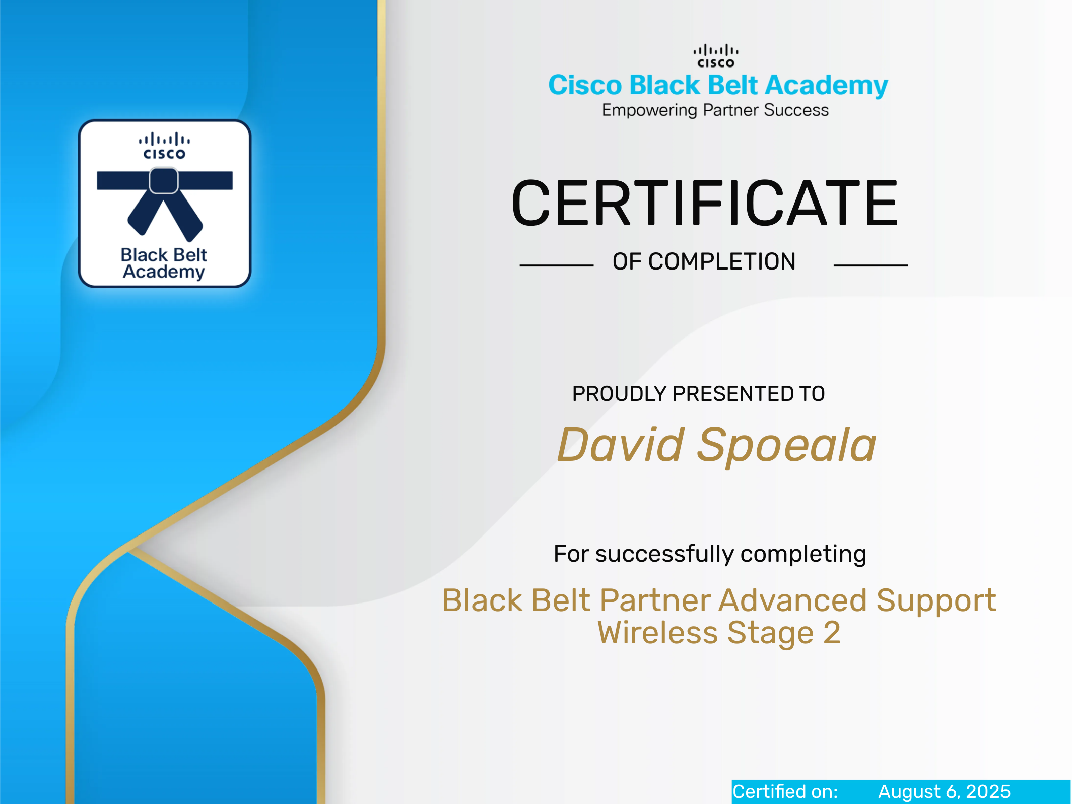 David Marius S. - alternet.it | LinkedIn